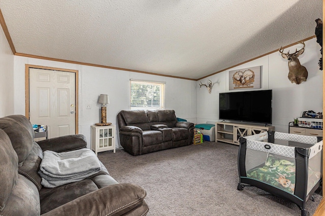 6671 E 136th St, Sand Lake, MI 49343 - carpeted living area featuring crown molding, lofted ceiling, and a textured ceiling