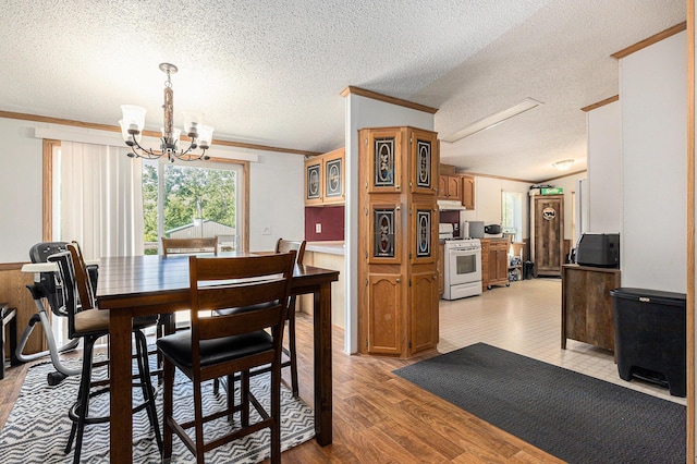 6671 E 136th St, Sand Lake, MI 49343 - dining area featuring crown molding, a chandelier, a textured ceiling, and light wood-style floors