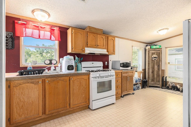 6671 E 136th St, Sand Lake, MI 49343 - kitchen with white appliances, ornamental molding, under cabinet range hood, a textured ceiling, and brown cabinetry