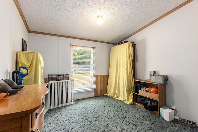 6671 E 136th St, Sand Lake, MI 49343 - bedroom featuring ornamental molding, carpet flooring, a textured ceiling, and vaulted ceiling
