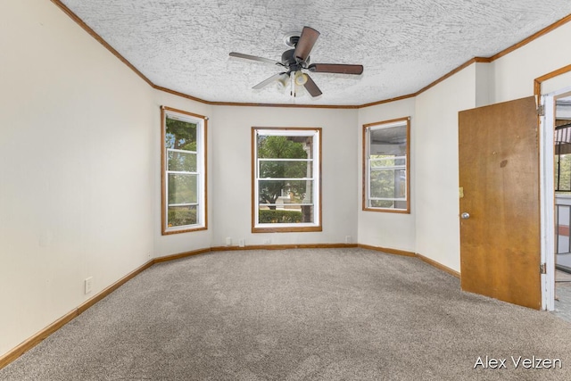 510 La Grave Ave SE, Grand Rapids, MI 49503 - spare room with carpet flooring, ornamental molding, a ceiling fan, and a textured ceiling