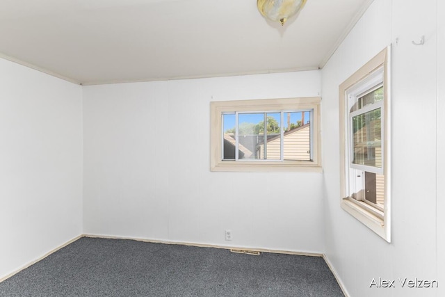 510 La Grave Ave SE, Grand Rapids, MI 49503 - carpeted spare room featuring baseboards and crown molding