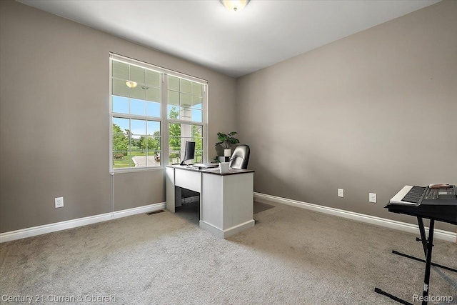 23431 S Crooked Tree Ct, South Lyon, MI 48178 - photo 17