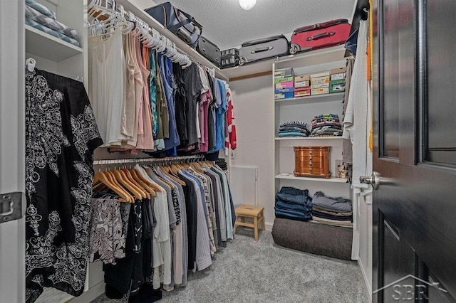 936 Appaloosa Pass, Auburn, MI 48611 - walk in closet with carpet floors