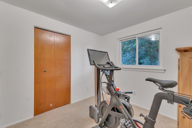 2840 Tuebingen Pkwy, Ann Arbor, MI 48105 - exercise room featuring carpet floors and baseboards
