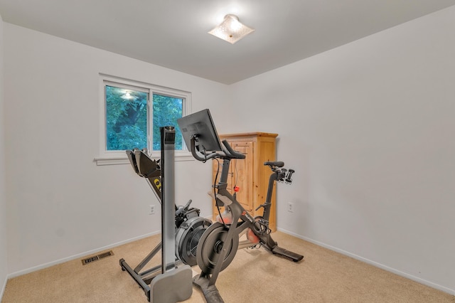 2840 Tuebingen Pkwy, Ann Arbor, MI 48105 - exercise room featuring light colored carpet