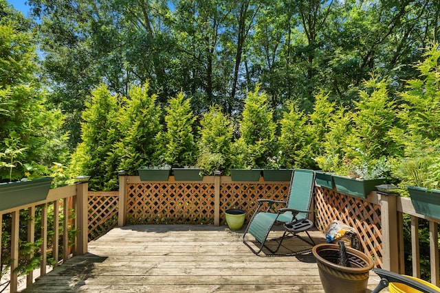 13607 Streamside Ct, Grand Haven, MI 49417 - photo 31
