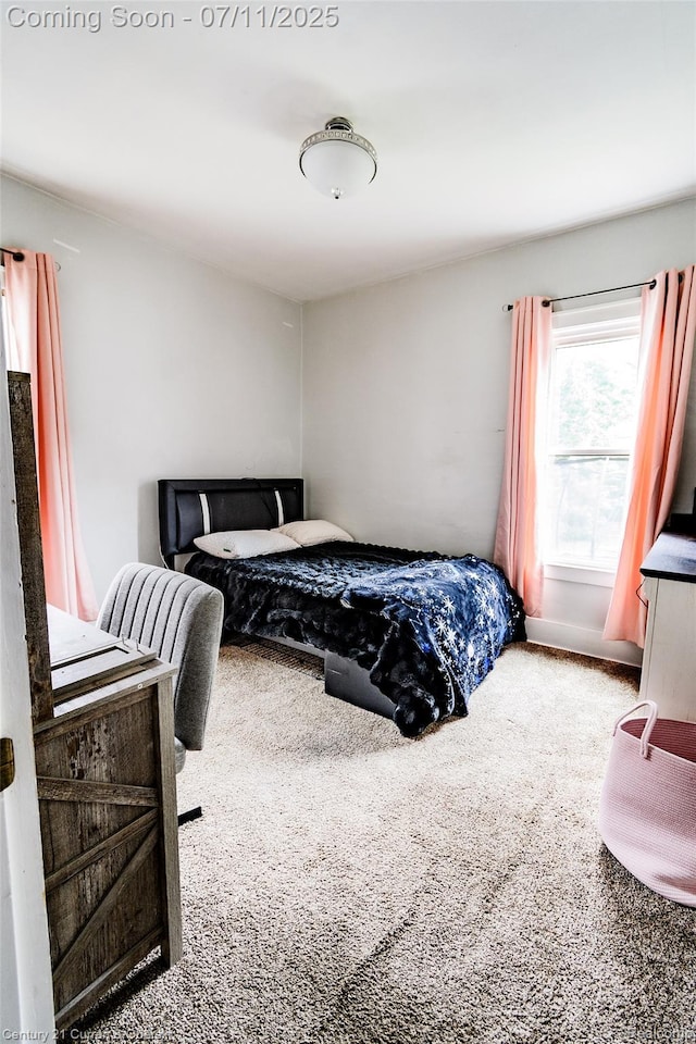 4168 Polk St, Dearborn Heights, MI 48125 - view of carpeted bedroom