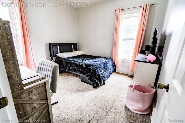 4168 Polk St, Dearborn Heights, MI 48125 - view of carpeted bedroom