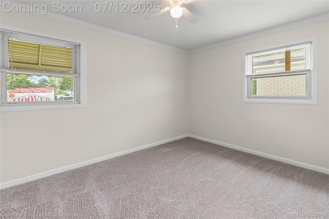 1681 Stieber St, Westland, MI 48186 - carpeted spare room featuring ceiling fan and crown molding