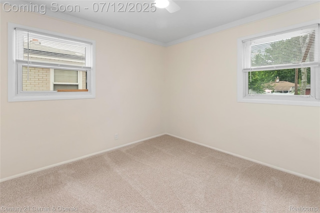 1681 Stieber St, Westland, MI 48186 - spare room with carpet, plenty of natural light, a ceiling fan, and crown molding