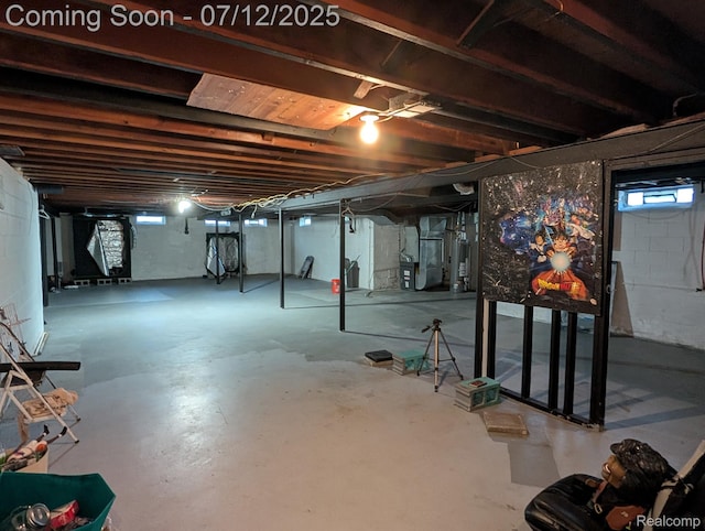 22048 Rougewood Dr, Southfield, MI 48033 - view of below grade area