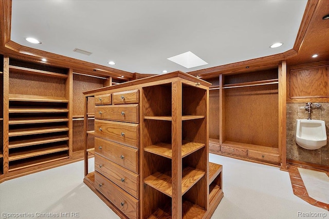 347 Pine Ridge Dr, Bloomfield Hills, MI 48304 - spacious closet featuring a skylight