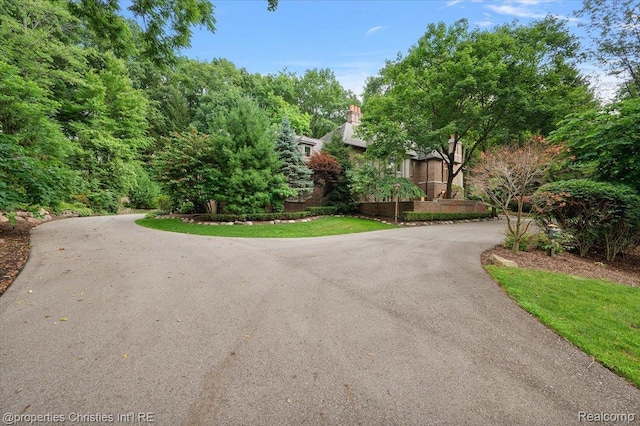 347 Pine Ridge Dr, Bloomfield Hills, MI 48304 - obstructed view of property with curved driveway and a chimney