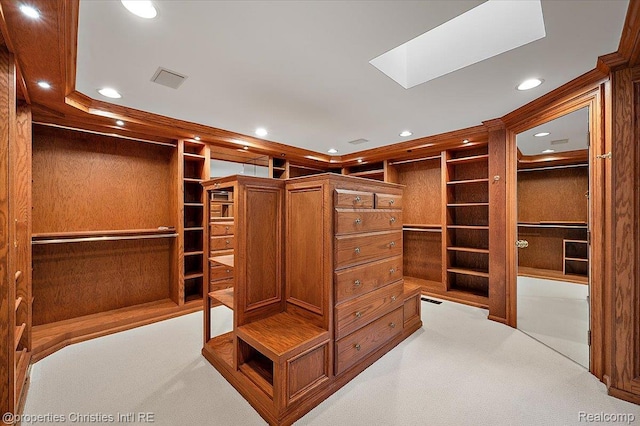347 Pine Ridge Dr, Bloomfield Hills, MI 48304 - spacious closet with a skylight and carpet flooring