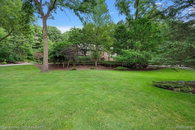 347 Pine Ridge Dr, Bloomfield Hills, MI 48304 - view of green lawn