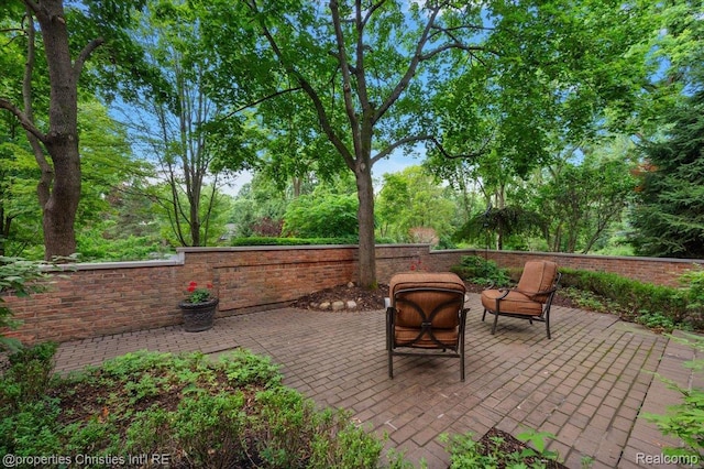 347 Pine Ridge Dr, Bloomfield Hills, MI 48304 - view of patio / terrace