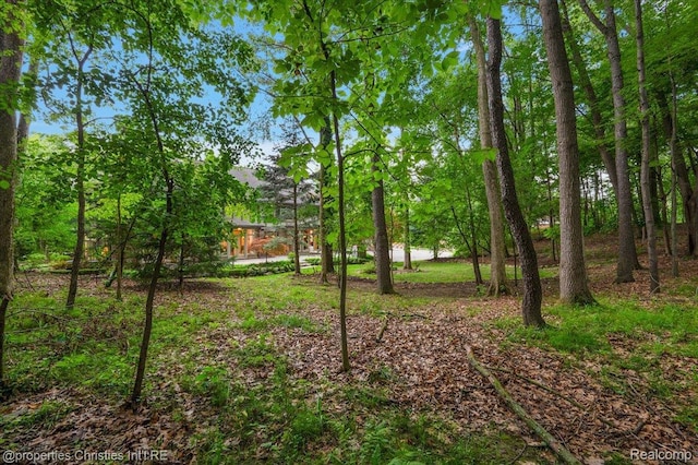 347 Pine Ridge Dr, Bloomfield Hills, MI 48304 - view of yard