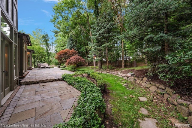 347 Pine Ridge Dr, Bloomfield Hills, MI 48304 - view of yard with a patio area