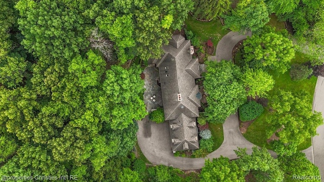 347 Pine Ridge Dr, Bloomfield Hills, MI 48304 - view from above of property