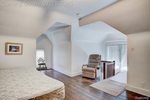 515 W Golden Gate, Detroit, MI 48203 - bedroom with dark wood-style flooring and vaulted ceiling