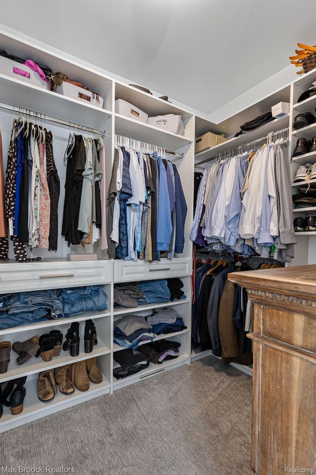 17170 Garden Ridge Ln Unit 72, Northville, MI 48168 - walk in closet with carpet