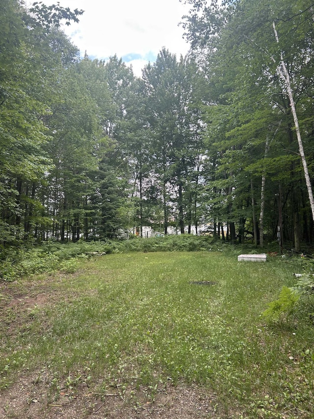 LOTS64 Todd Dr, Prescott, MI 48756