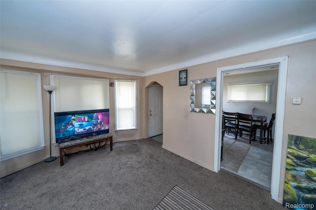 14599 Coyle St, Detroit, MI 48227 - living room featuring carpet and arched walkways