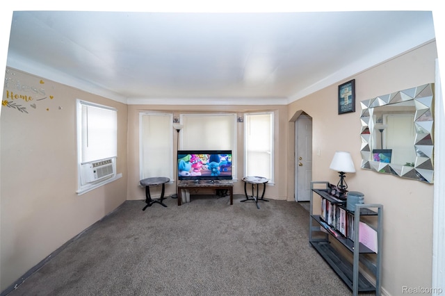 14599 Coyle St, Detroit, MI 48227 - sitting room with arched walkways, cooling unit, and carpet