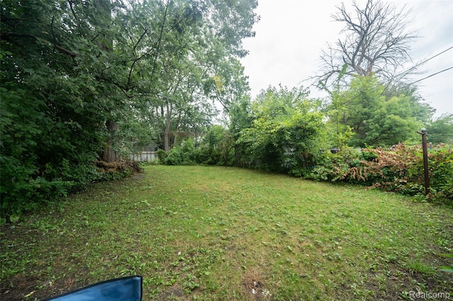 14599 Coyle St, Detroit, MI 48227 - view of green lawn