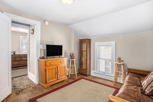 211 S 4th St, Niles, MI 49120 - bedroom featuring multiple windows, wood finished floors, and vaulted ceiling