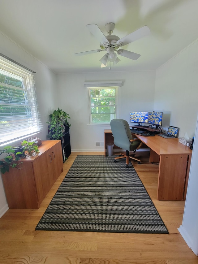 1200 Elmwood Dr, Jenison, MI 49428 - home office featuring light wood finished floors, ceiling fan, and ornamental molding