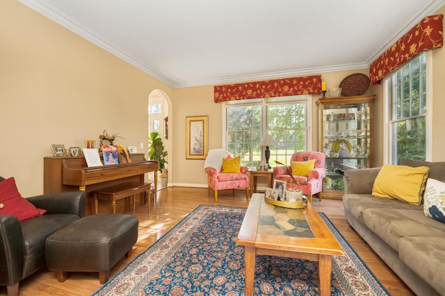 9095 Marsh Cir, Galesburg, MI 49053 - living room with ornamental molding, arched walkways, and wood finished floors