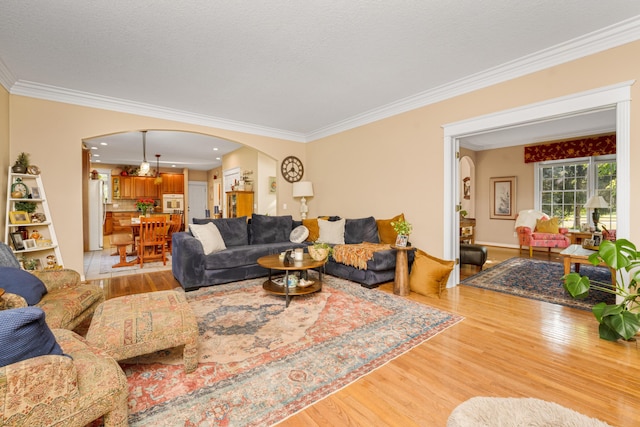 9095 Marsh Cir, Galesburg, MI 49053 - living area featuring arched walkways, light wood-type flooring, ornamental molding, and recessed lighting