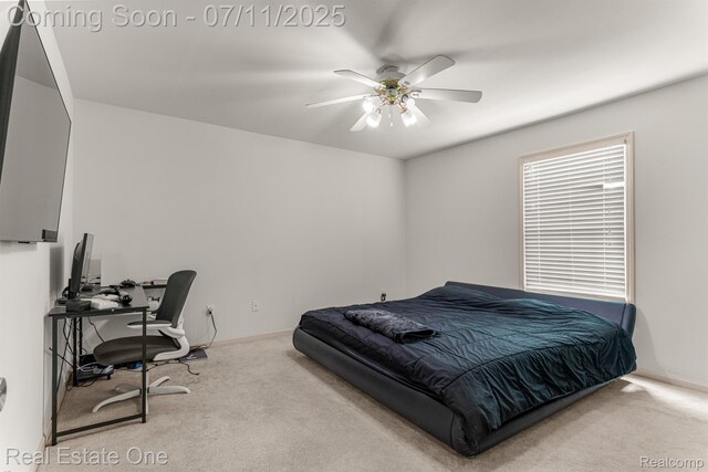 48416 Manhattan Cir, Canton, MI 48188 - photo 31
