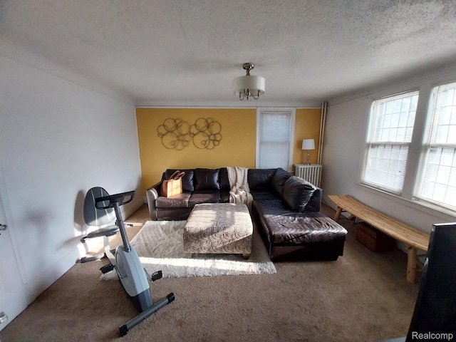 16834 Muirland St, Detroit, MI 48221 - living area with carpet floors and a textured ceiling