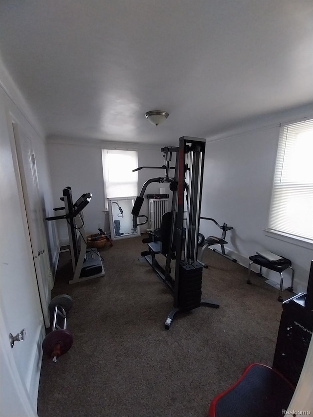 16834 Muirland St, Detroit, MI 48221 - exercise room with carpet flooring