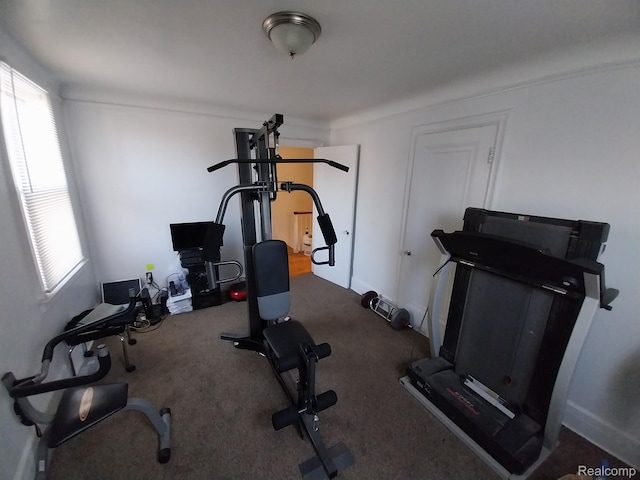 16834 Muirland St, Detroit, MI 48221 - workout area with carpet floors