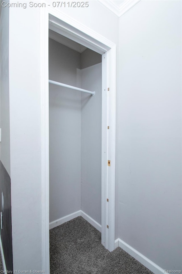 29046 S Wesley Ave, Flat Rock, MI 48134 - view of closet