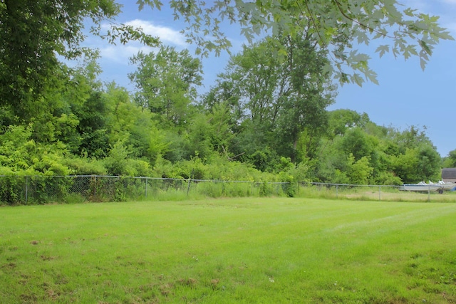 5249 Lapeer Rd, Burton, MI 48509 - view of yard