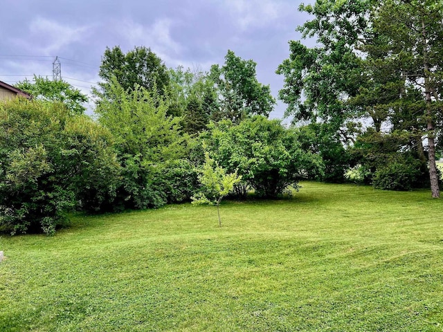 4865 Cactus Dr, Saginaw, MI 48603 - view of grassy yard
