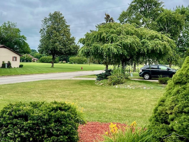 4865 Cactus Dr, Saginaw, MI 48603 - view of green lawn
