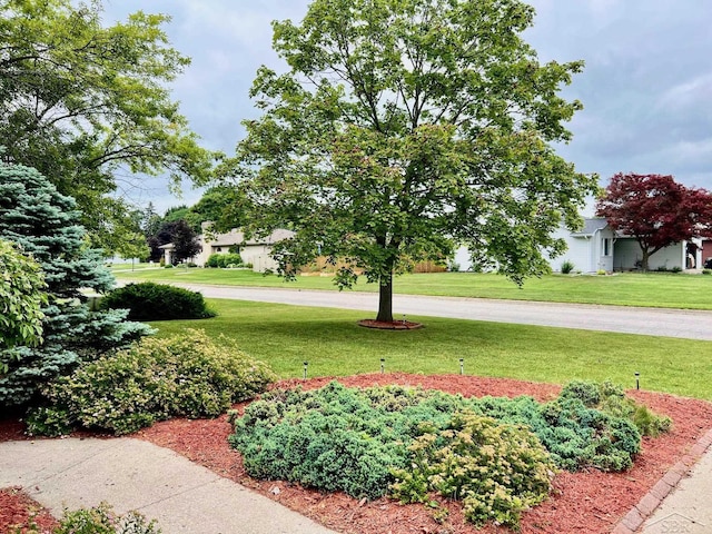 4865 Cactus Dr, Saginaw, MI 48603 - view of property's community with a yard