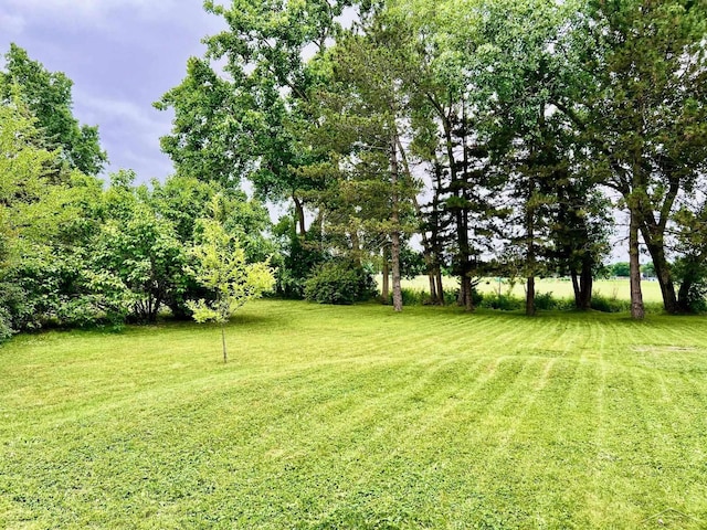 4865 Cactus Dr, Saginaw, MI 48603 - view of green lawn