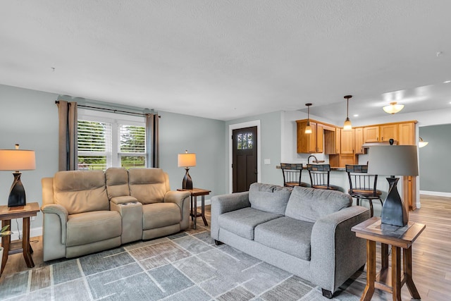 4825 Walz Rd, Jackson, MI 49201 - living room featuring light wood finished floors and a textured ceiling