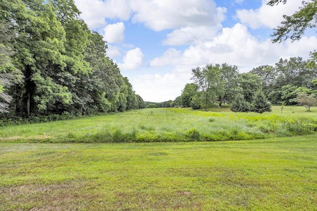 4825 Walz Rd, Jackson, MI 49201 - view of grassy yard featuring a view of countryside