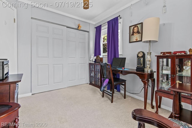 17309 Ray Ave, Allen Park, MI 48101 - photo 18