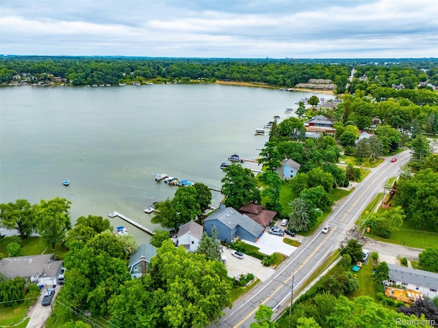 4616 Cass Elizabeth Rd, Waterford, MI 48328 - photo 68
