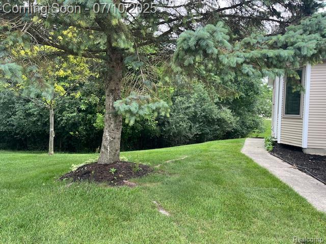 9351 Rayna Dr, Davison, MI 48423 - view of green lawn
