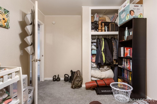 1002 Madison St, Grand Haven, MI 49417 - carpeted bedroom featuring a closet